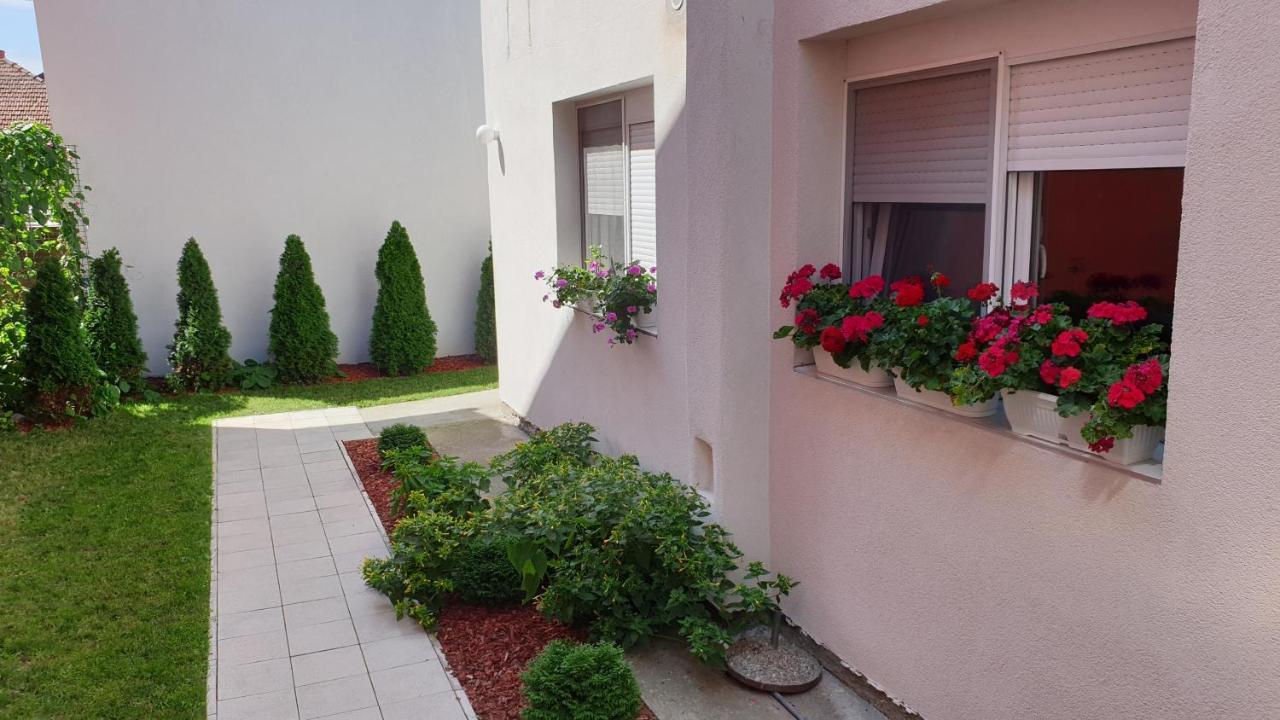 Lovely Private Flats Free Parking Apartment Novi Sad Exterior photo